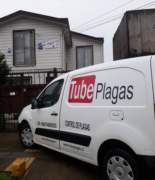 Por qué elegirnos